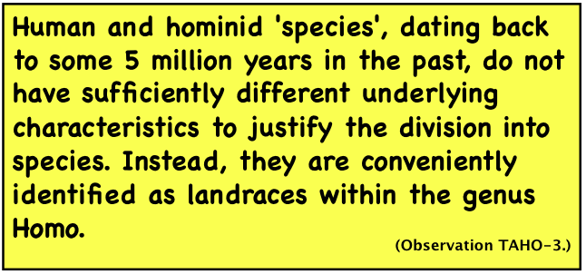 Human and hominid 